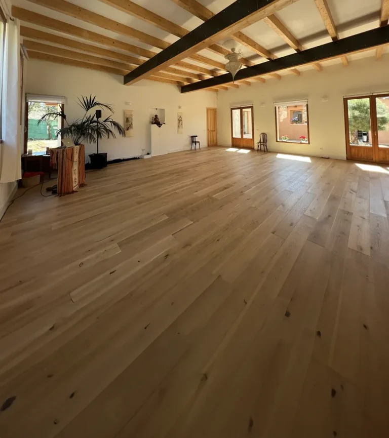 retiro yoga danza veda formacion madrid